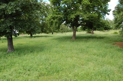 Commercial Property in Bryan County, Oklahoma