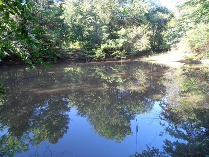 Hunting Property in Anderson County, Texas