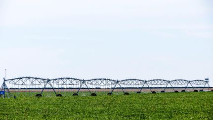 Farm and Ranch in Hutchinson County, Texas