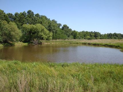 Farm and Ranch in Woodson County, Kansas