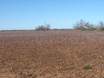 Farm and Ranch in Taylor County, Texas