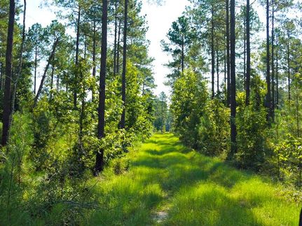 Recreational Property in Jenkins County, Georgia
