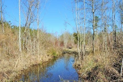 Farm and Ranch in Florence County, South Carolina