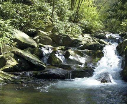 Farm and Ranch in Polk County, Tennessee