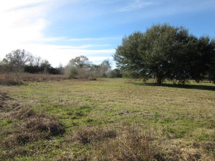 Farm and Ranch in Fort Bend County, Texas