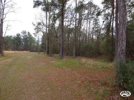 Farm and Ranch in Forrest County, Mississippi