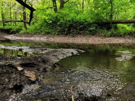 Land in Cass County, Missouri