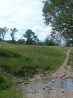 Timberland Property in Sweet Grass County, Montana