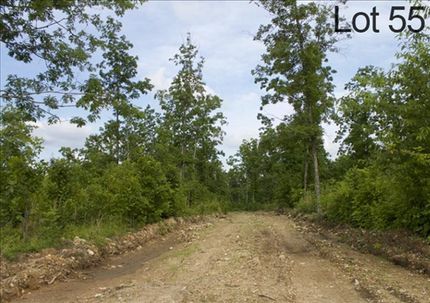 Undeveloped Land in Shannon County, Missouri