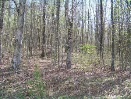 Farm and Ranch in Marion County, Tennessee