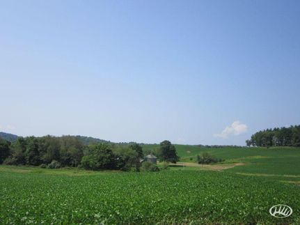 House in Carroll County, Ohio