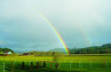 Farm and Ranch in Lewis County, Washington
