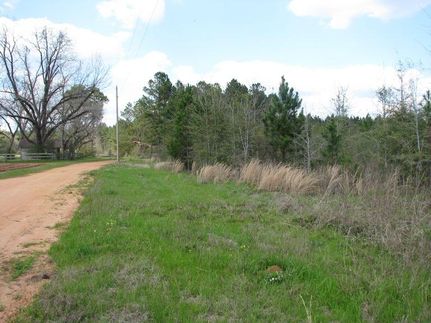 Recreational Property in Clarke County, Alabama