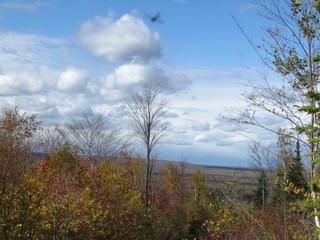 Farm and Ranch in Clinton County, New York