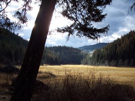 Land in Lincoln County, Montana