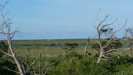 Riverfront Property in Camden County, Georgia