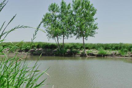 Farm and Ranch in McLennan County, Texas