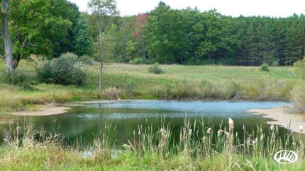 Farm and Ranch in Isabella County, Michigan