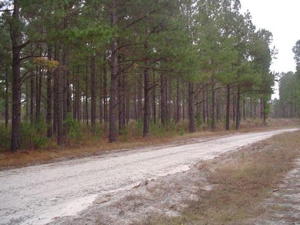 Land in Lee County, South Carolina