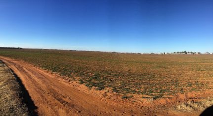 Undeveloped Land in Haskell County, Texas