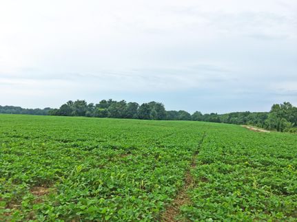Farm and Ranch in Spencer County, Indiana