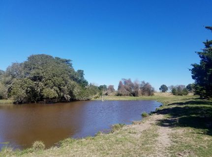 Farm and Ranch in Fayette County, Texas