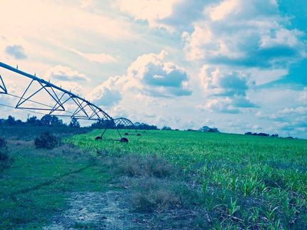 Recreational Property in Screven County, Georgia