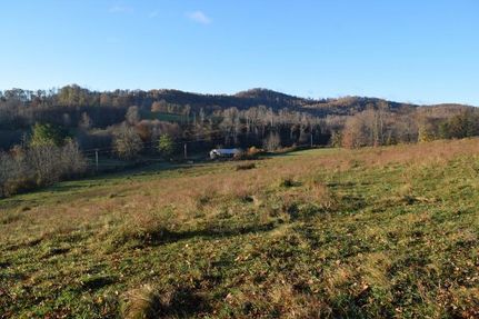 Undeveloped Land in Floyd County, Virginia
