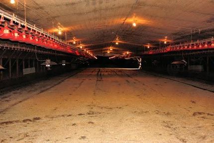 Commercial Property in Newton County, Mississippi