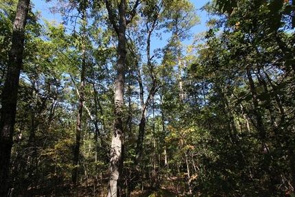 Farm and Ranch in Moore County, North Carolina