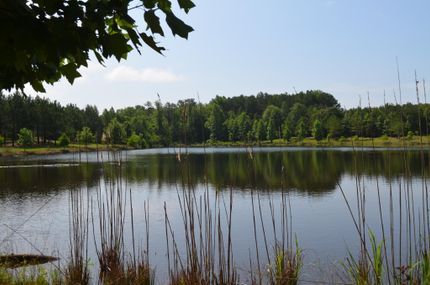 Recreational Property in Macon County, Alabama