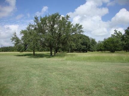 Undeveloped Land in Coryell County, Texas