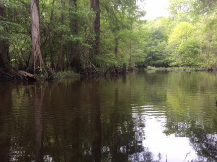 Riverfront Property in Johnson County, Georgia