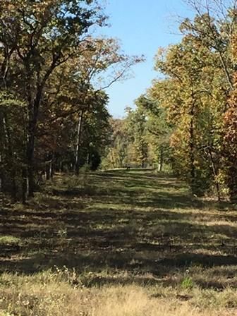 Farm and Ranch in Freestone County, Texas