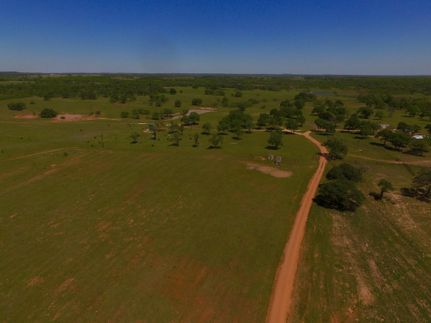 Timberland Property in Wilson County, Texas