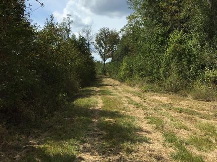 Land in Clarendon County, South Carolina