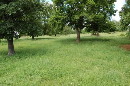 Commercial Property in Bryan County, Oklahoma