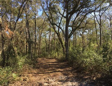 Waterfront Property in Camden County, Georgia