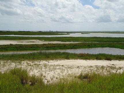 Commercial Property in Refugio County, Texas