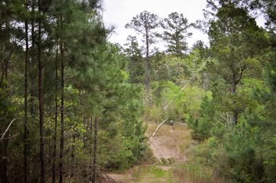 Land in Houston County, Texas