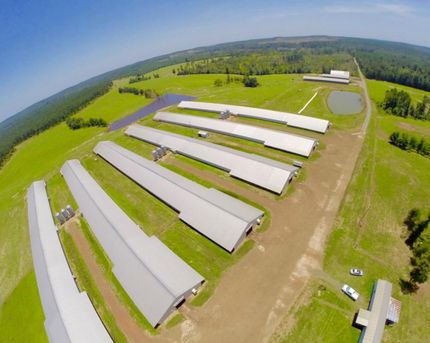 Farm and Ranch in Sabine Parish, Louisiana