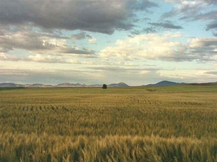 Farm and Ranch in Blaine County, Montana