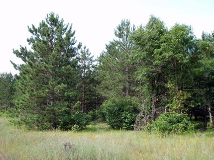 Land in Juneau County, Wisconsin