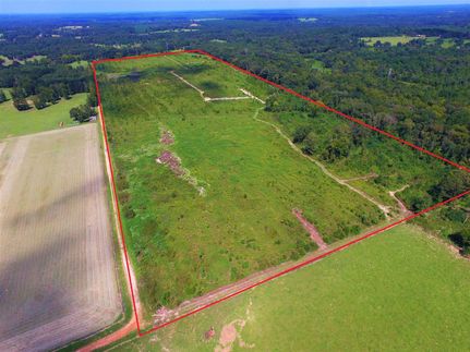 Timberland Property in Morris County, Texas