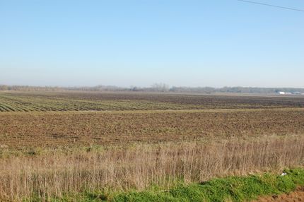 Farm and Ranch in Fort Bend County, Texas