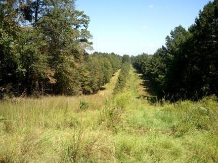 Land in Pike County, Mississippi