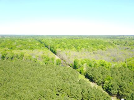 Timberland Property in Upshur County, Texas