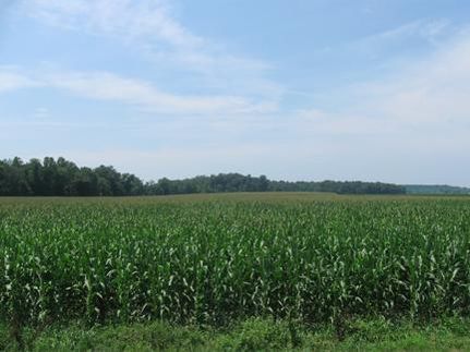 Land in Bartholomew County, Indiana