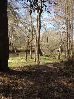 Land in Pike County, Mississippi
