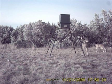 Farm and Ranch in Nolan County, Texas